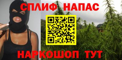 индика Кулебаки