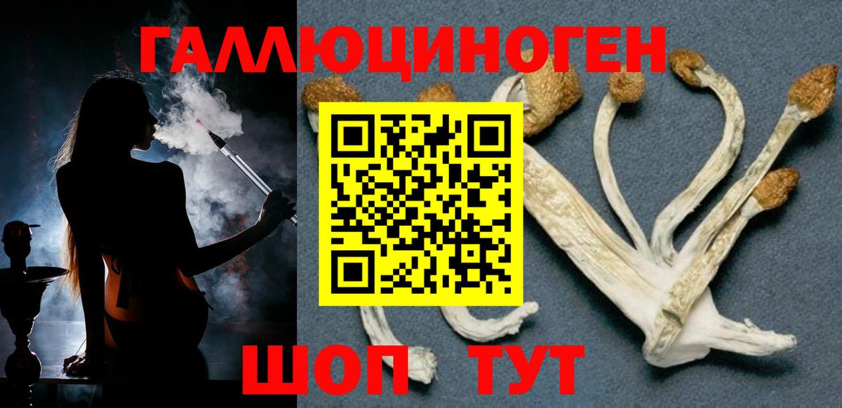 Псилоцибиновые грибы мухоморы  Псилоцибиновые грибы прущие грибы  Ирбит  Вход с VPN 