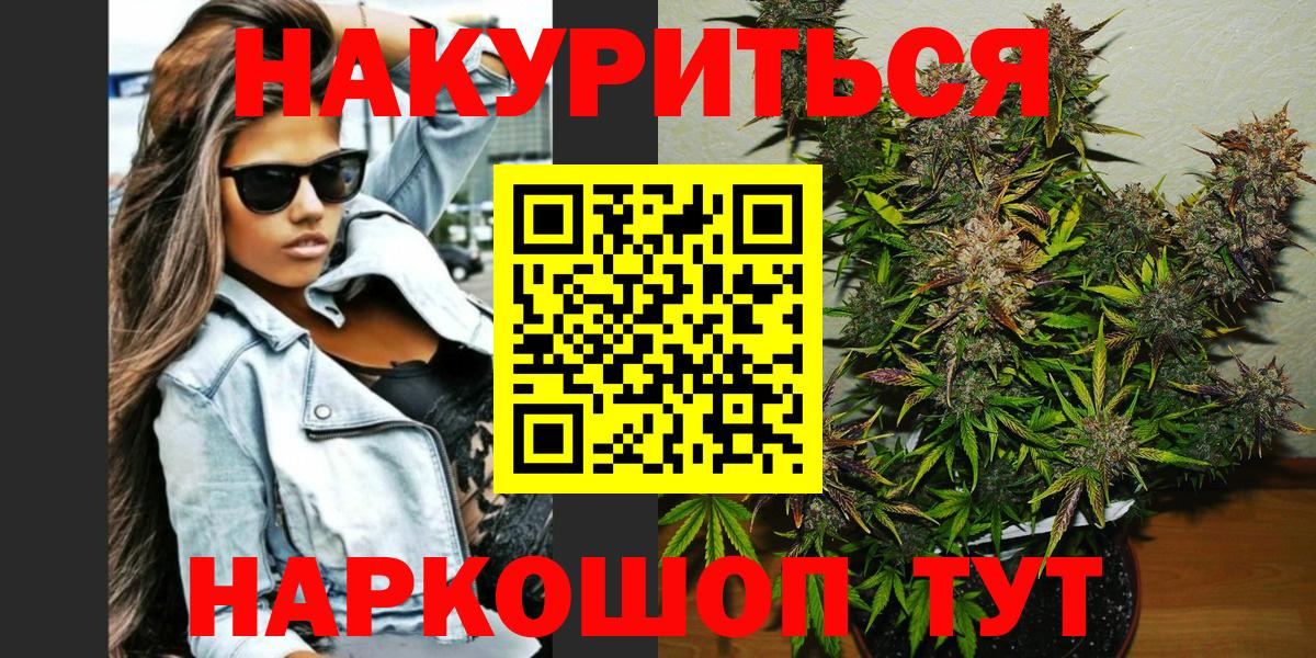 Бошки Шишки планчик Ирбит